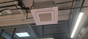 IMG_20241202_104901